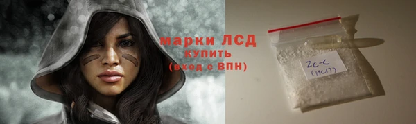 spice Богородицк
