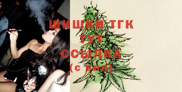 spice Богородицк
