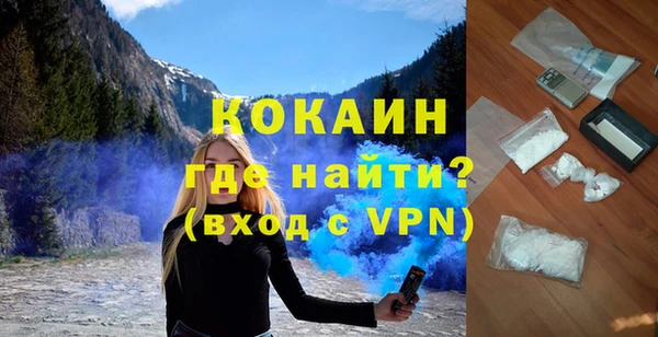 spice Богородицк