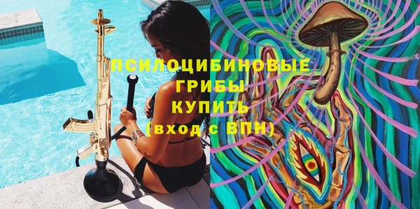 прущие крисы Арсеньев