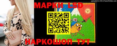 apvp Пугачёв