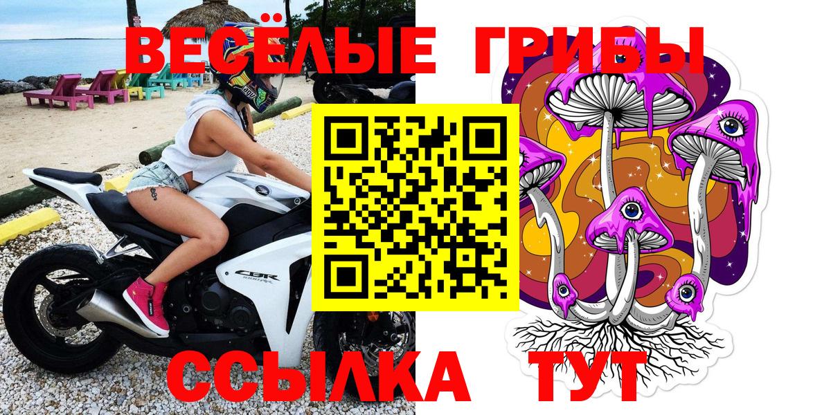 Псилоцибиновые грибы GOLDEN TEACHER Спасск-Дальний